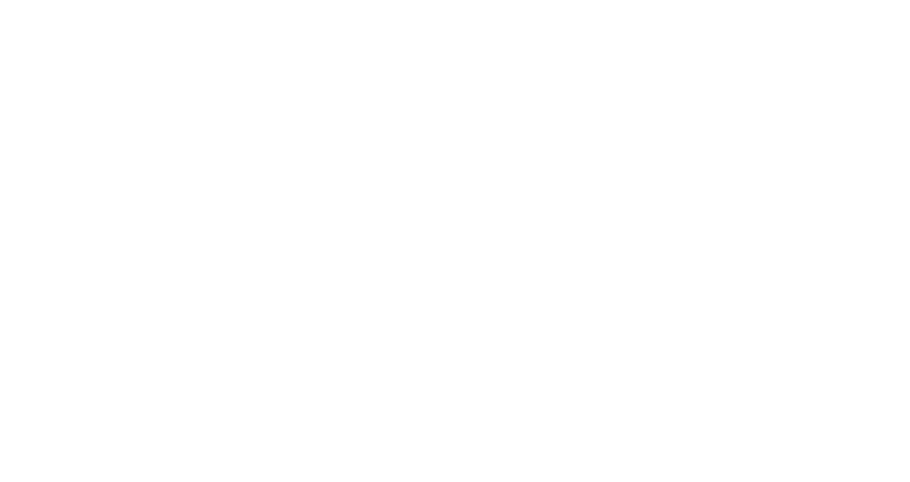 Stella's Shelter Fund